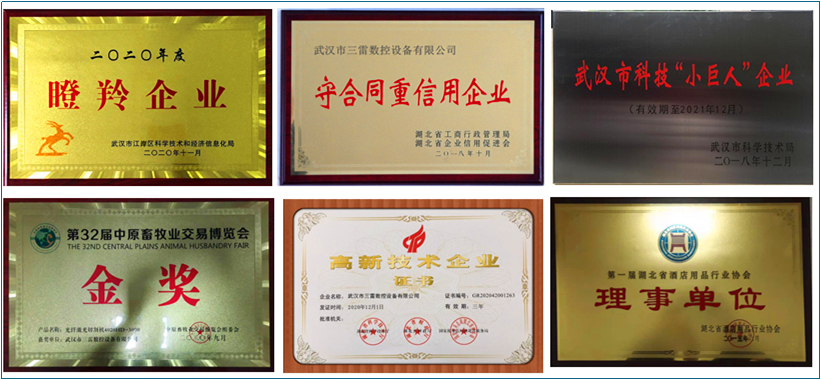 資質(zhì)榮譽(圖1)